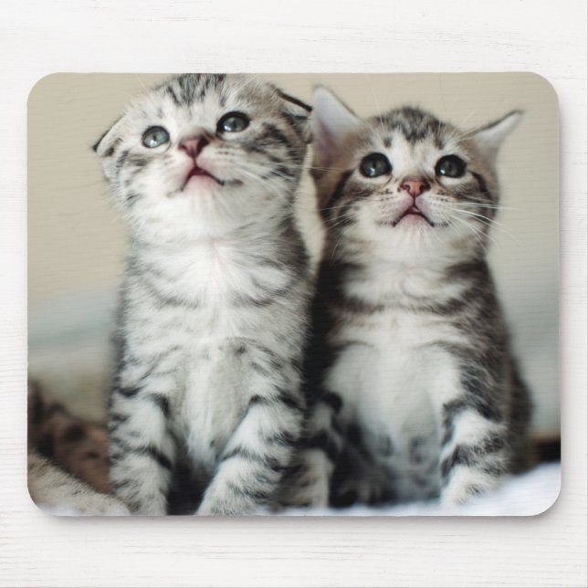 Two Cute Kittens Mouse Mat (Front)