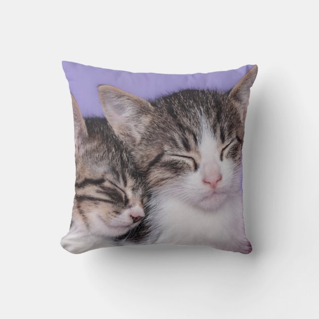 Two Cute Kittens Napping Cushion (Front)