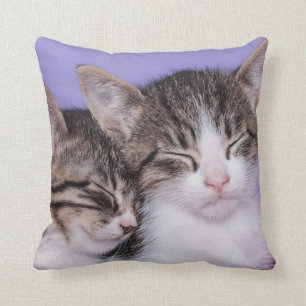 Two Cute Kittens Napping Cushion
