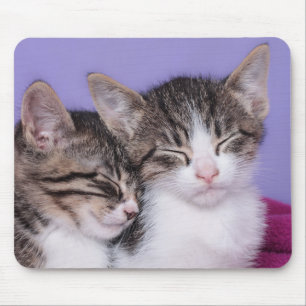 Two Cute Kittens Napping Mouse Mat