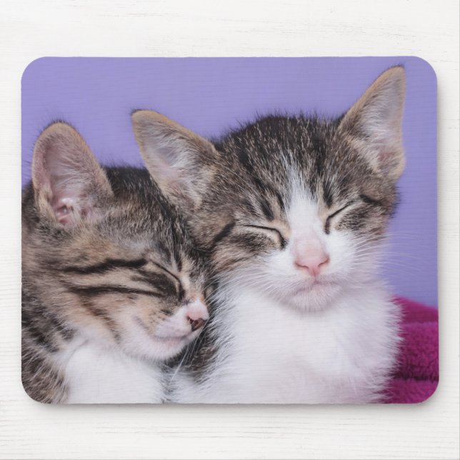 Two Cute Kittens Napping Mouse Mat (Front)