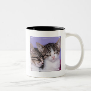 Two Cute Kittens Napping Two-Tone Coffee Mug