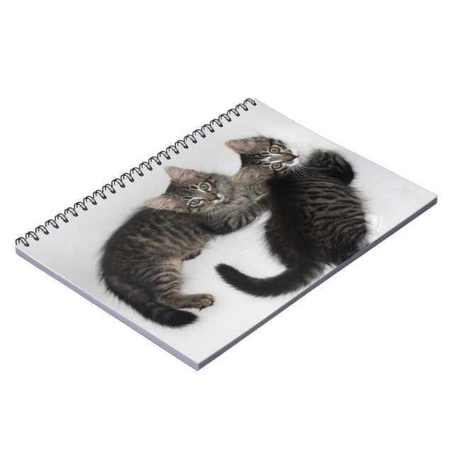 Two Cute Kittens Notebook (Left Side)