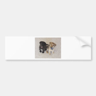 Two Cute Labrador Puppies Bumper Sticker