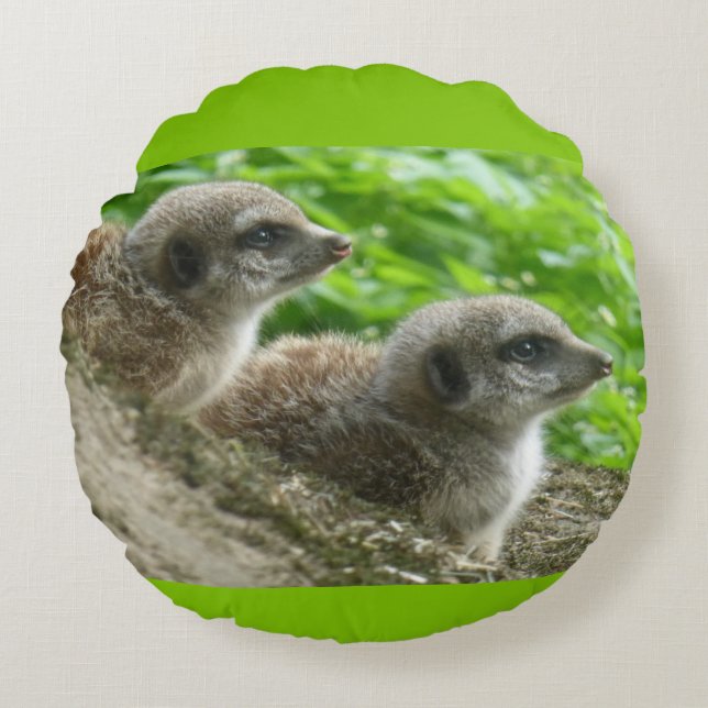 Two Cute Meerkats Round Pillow (Front)