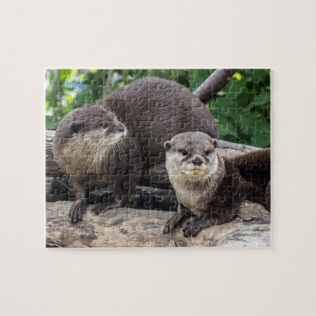 Two Cute Otters | Otter Jigsaw Puzzle (Horizontal)