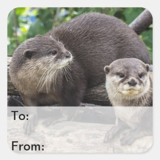 Two Cute Otters | Otter Square Sticker