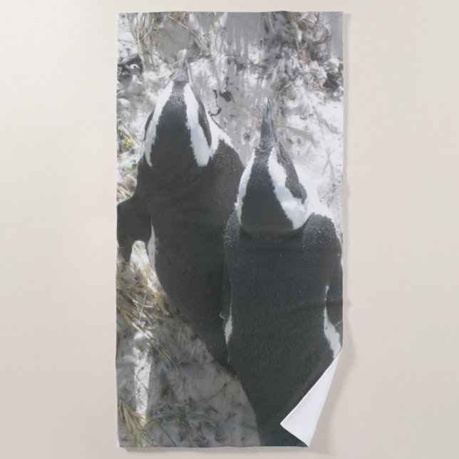 Two Cute Penguins Beach Towel (Front)