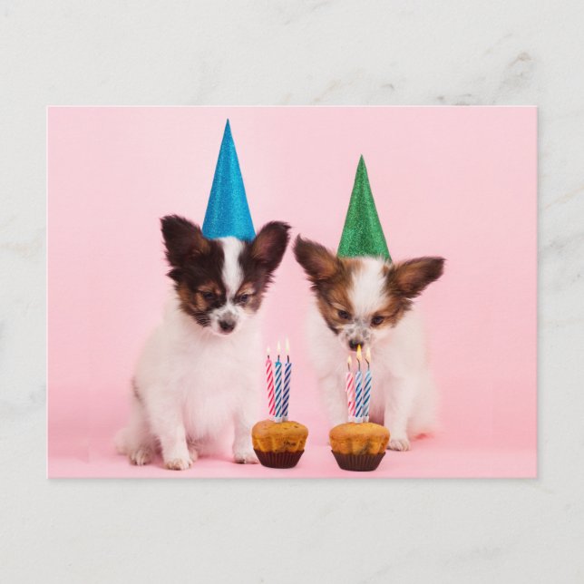 Two Cute Puppies /W Birthday Hats & Candles Postcard (Front)