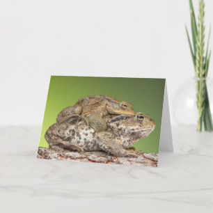 Two Cute Toads Card