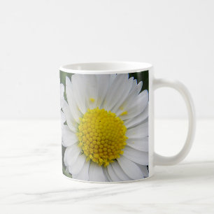 Two cute, white daisies coffee mug