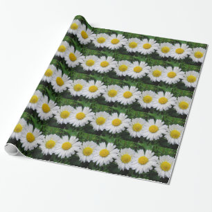 Two cute, white daisies wrapping paper