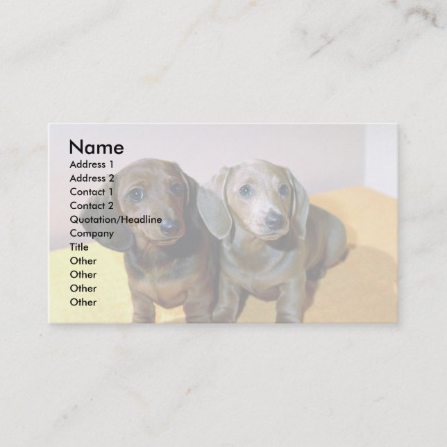 Two Dachshund pups Business Card (Front)
