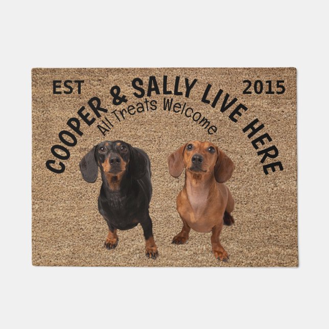 Two Dachshunds Personalised Dog Lover   Doormat (Front)