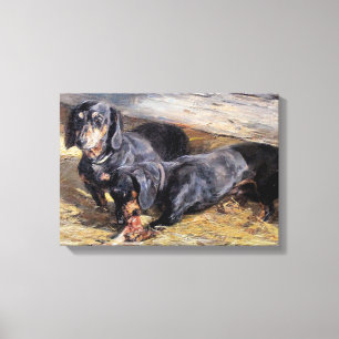 Two Dachshunds with the Bone Hermine Biedermann Canvas Print