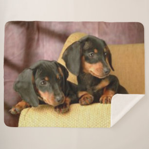 TWO DACHSUNDS SHERPA BLANKET