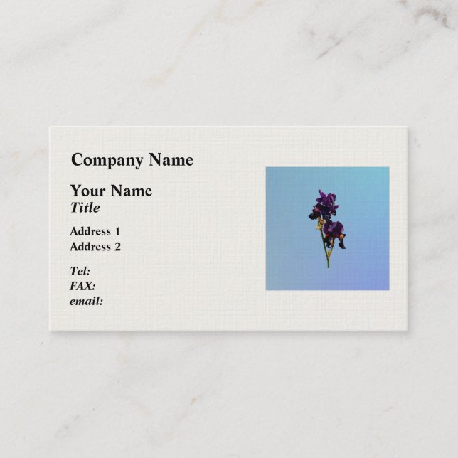 Two Dark Purple Irises Business Card (Front)