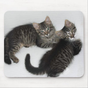 Two Darling Kittens Mouse Pad