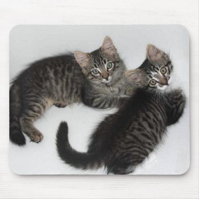 Two Darling Kittens Mouse Pad (Front)