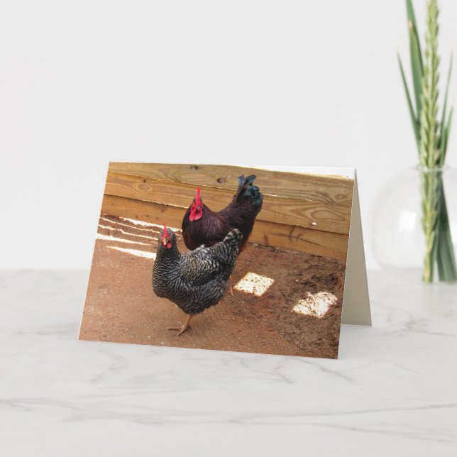 Two Darn Cute Chickens Card (Front)