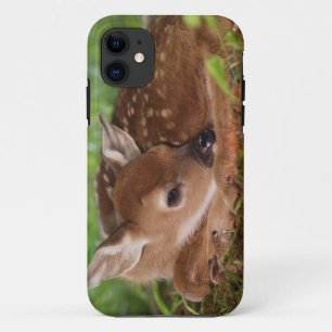 Two day old White-tailed Deer baby, Kentucky. iPhone 11 Case