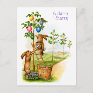 Two Decorating Rabbits Postcard