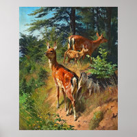 Two Deer And Cute Fawn In The Forest