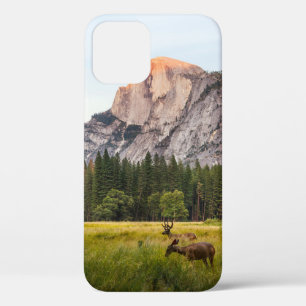 TWO DEER IN FRONT OF HALF DOME IN YOSEMITE VALLEY  iPhone 12 CASE