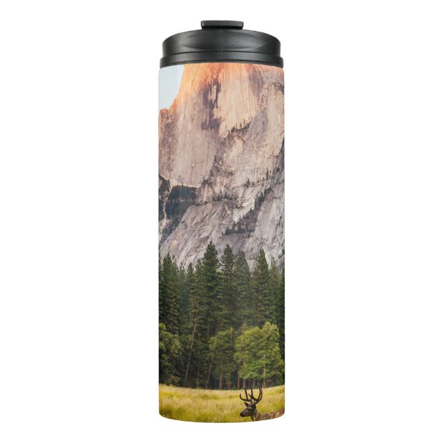 TWO DEER IN FRONT OF HALF DOME IN YOSEMITE VALLEY  THERMAL TUMBLER (Front)