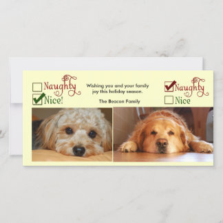Two dog Christmas card photo template