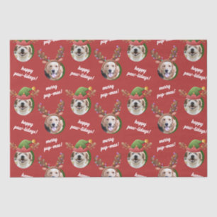 Two Dog Photo Reindeer Antler Merry Christmas Red Tissue Paper