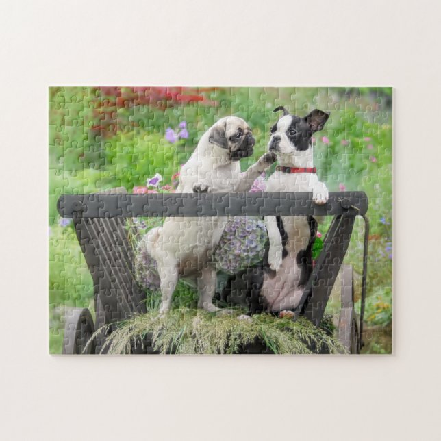 Two dogs a pug puppy and Boston Terrier in a cart Jigsaw Puzzle (Horizontal)