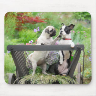 Two dogs a pug puppy and Boston Terrier in a cart Mouse Mat