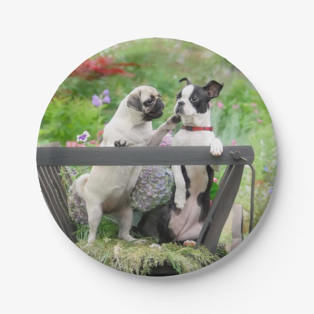 Two dogs a pug puppy and Boston Terrier in a cart Paper Plate (Front)