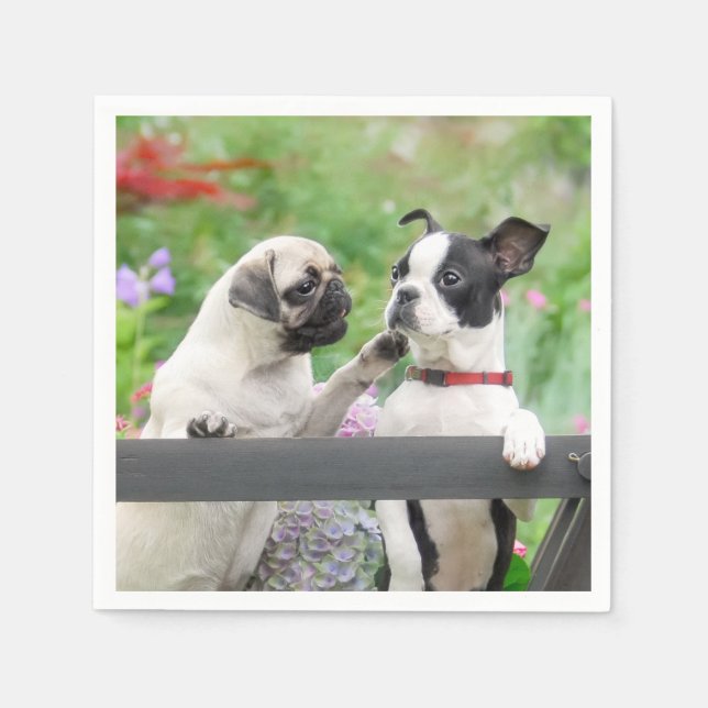Two dogs a pug puppy and Boston Terrier together - Napkin (Front)