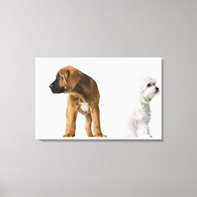 Two Dogs Canvas Print (Front)