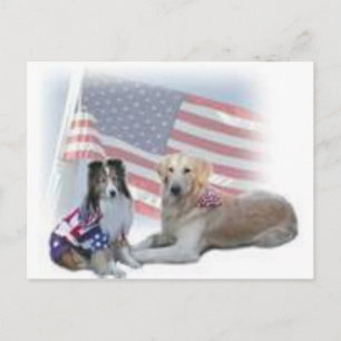 two dogs collies postcard