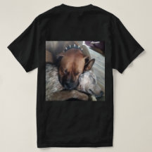 Two Dogs Cuddling Peacefully