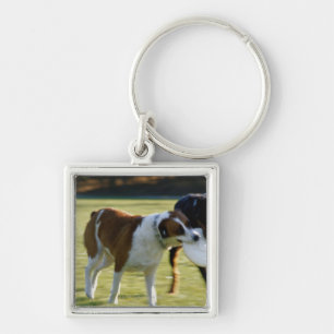Two Dogs Fighting over Plastic Disc Key Ring