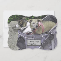TWO DOGS IN A STROLLER/HAPPY ANNIVERSARY