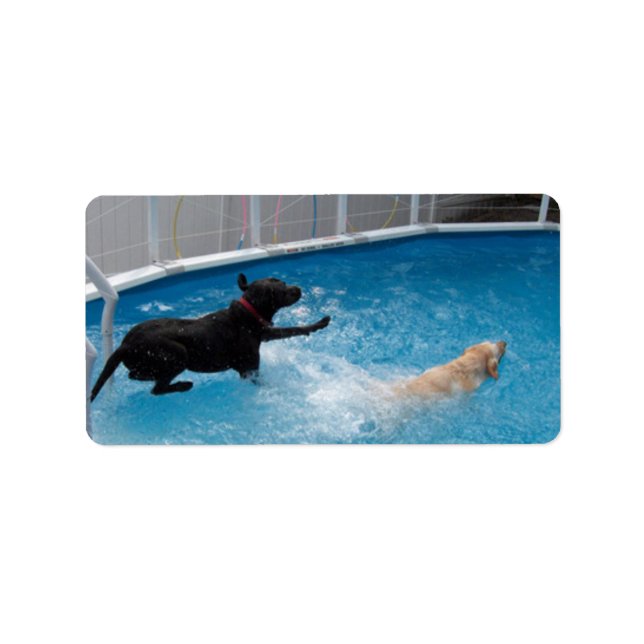 Two dogs jumping into a swimming pool! label (Front)