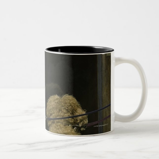 Two dogs looking in door window, rear view Two-Tone coffee mug (Right)