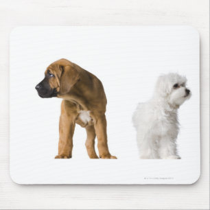 Two Dogs Mouse Mat