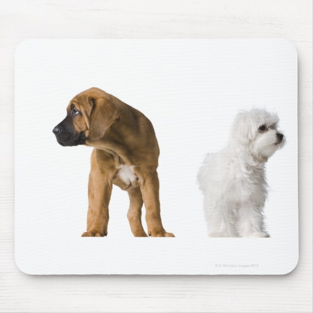 Two Dogs Mouse Mat (Front)