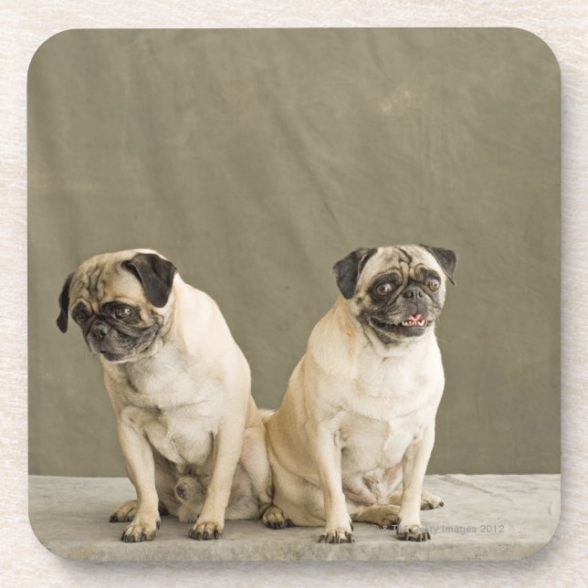 Two dogs posing on a table coaster (Front)