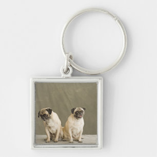Two dogs posing on a table key ring