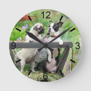 Two dogs pug puppy and Boston Terrier  dial-plate Round Clock
