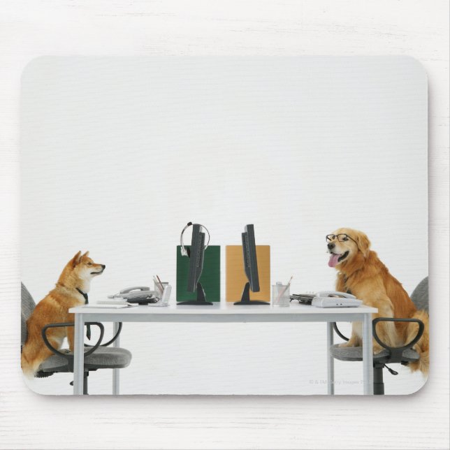Two dogs wearing tie and glasses ,sitting on mouse mat (Front)