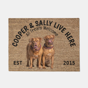 Two Dogue de Bordeaux Personalised Dog Lover   Doormat