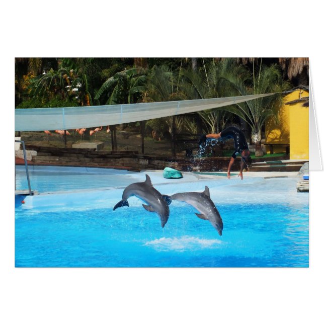 Two dolphins (Front Horizontal)